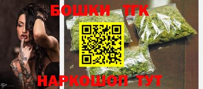 мдпв Кингисепп