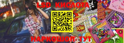 мдпв Кингисепп