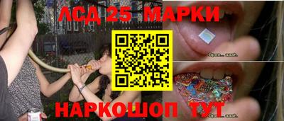 мдпв Кингисепп