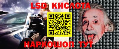 мдпв Кингисепп