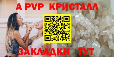 мдпв Кингисепп