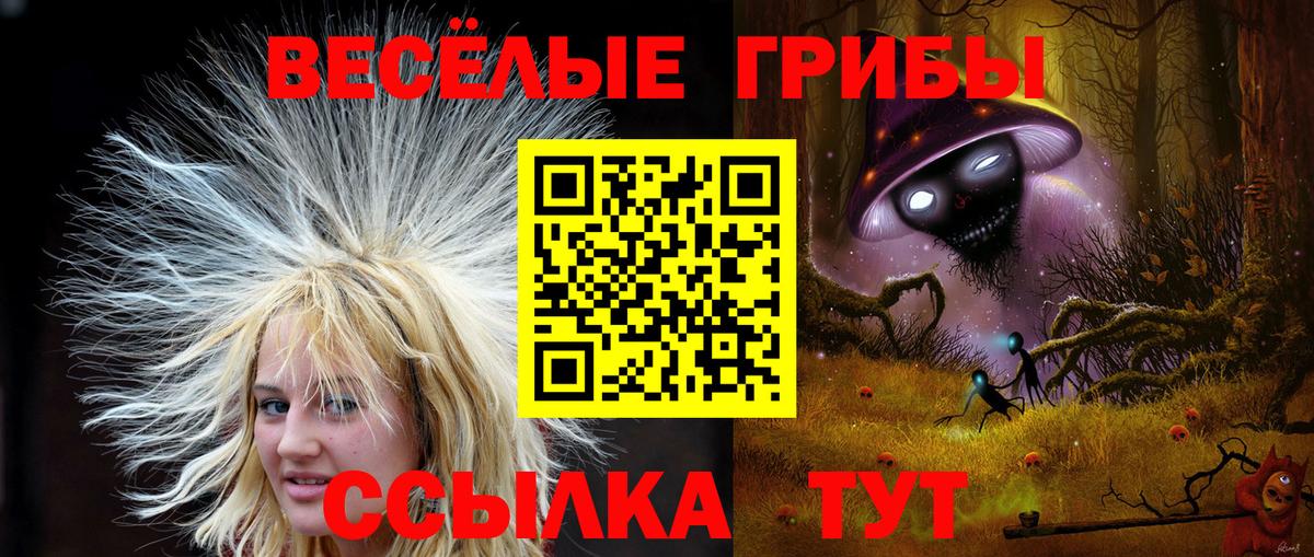 Галлюциногенные грибы ЛСД Советск